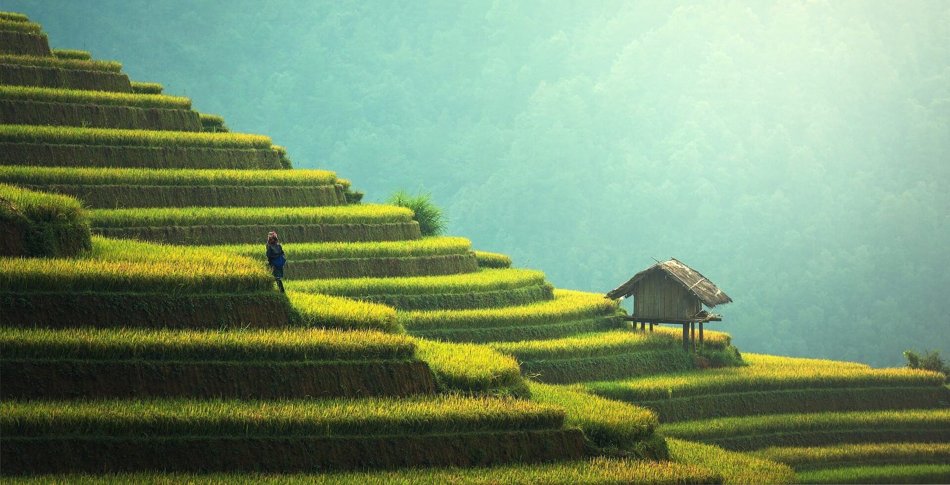 vietnam holiday packages from south africa 1