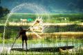 vietnam day tours 1