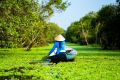 vietnam and myanmar tours