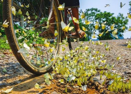 vietnam school holidays