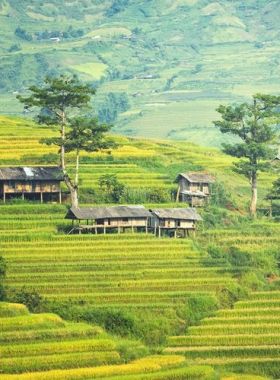 vietnam classic tours 1