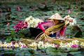 vietnam classic tours 4